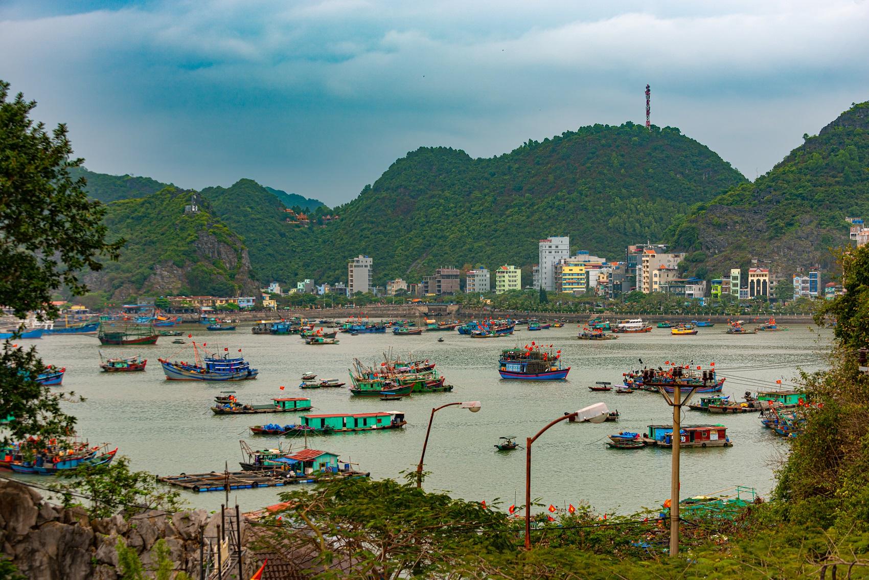 Viết &ldquo;chương mới&rdquo; cho du lịch C&aacute;t B&agrave;- Ảnh 1.