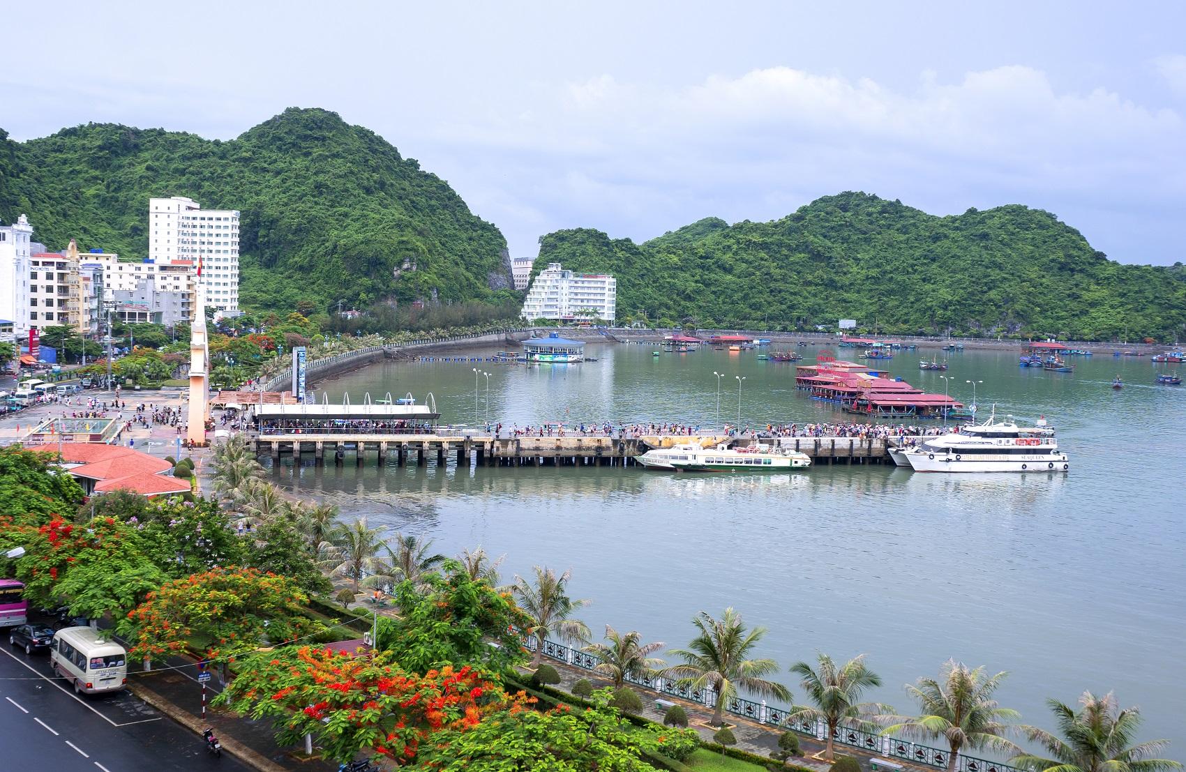 Viết &ldquo;chương mới&rdquo; cho du lịch C&aacute;t B&agrave;- Ảnh 4.
