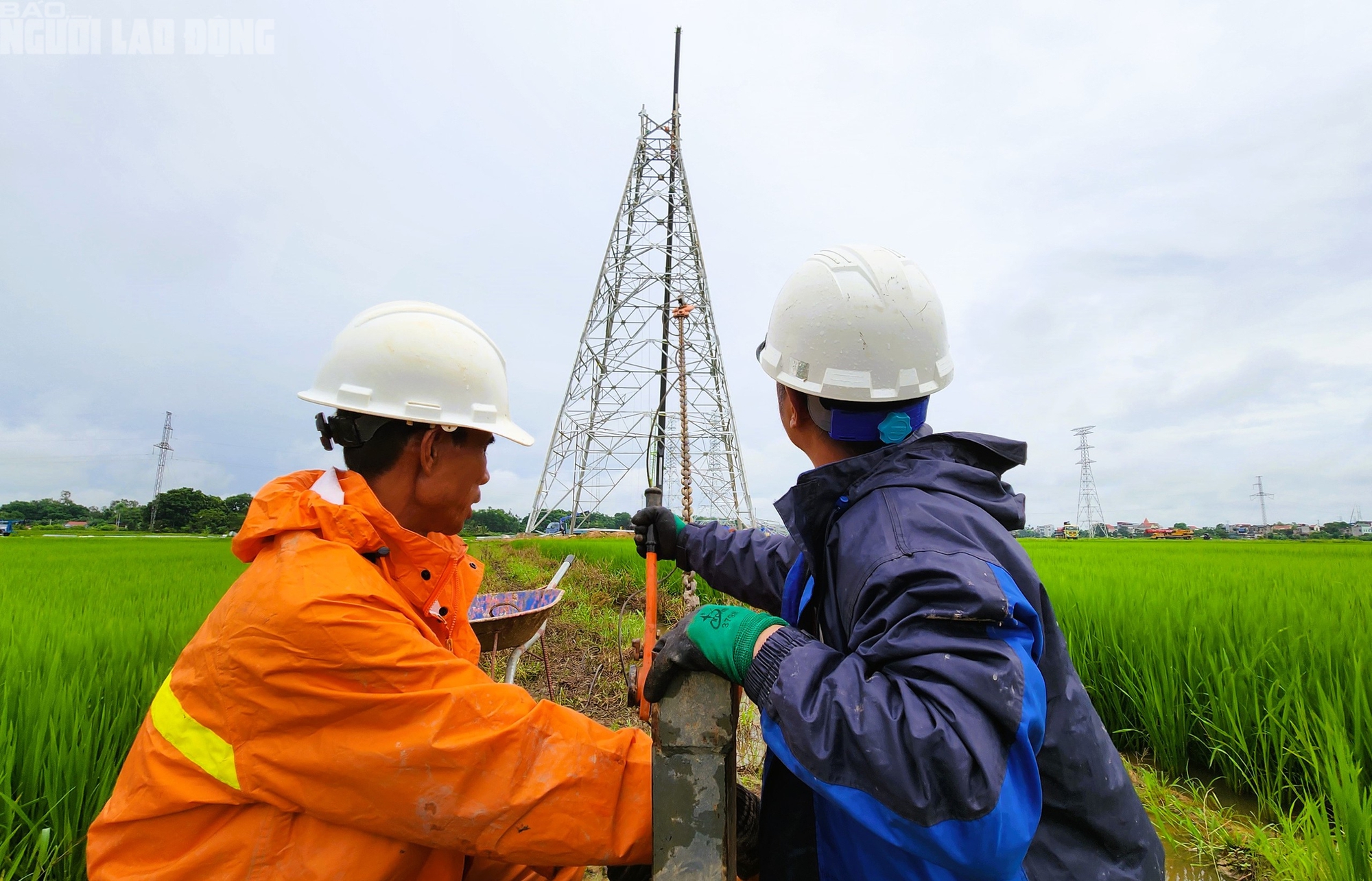 VIDEO: Người lao động ng&agrave;nh điện "dầm mưa" thi c&ocirc;ng Đường d&acirc;y 500 kV- Ảnh 1.