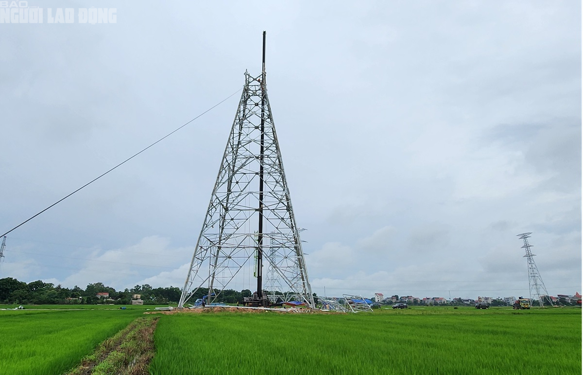 VIDEO: Người lao động ng&agrave;nh điện "dầm mưa" thi c&ocirc;ng Đường d&acirc;y 500 kV- Ảnh 2.