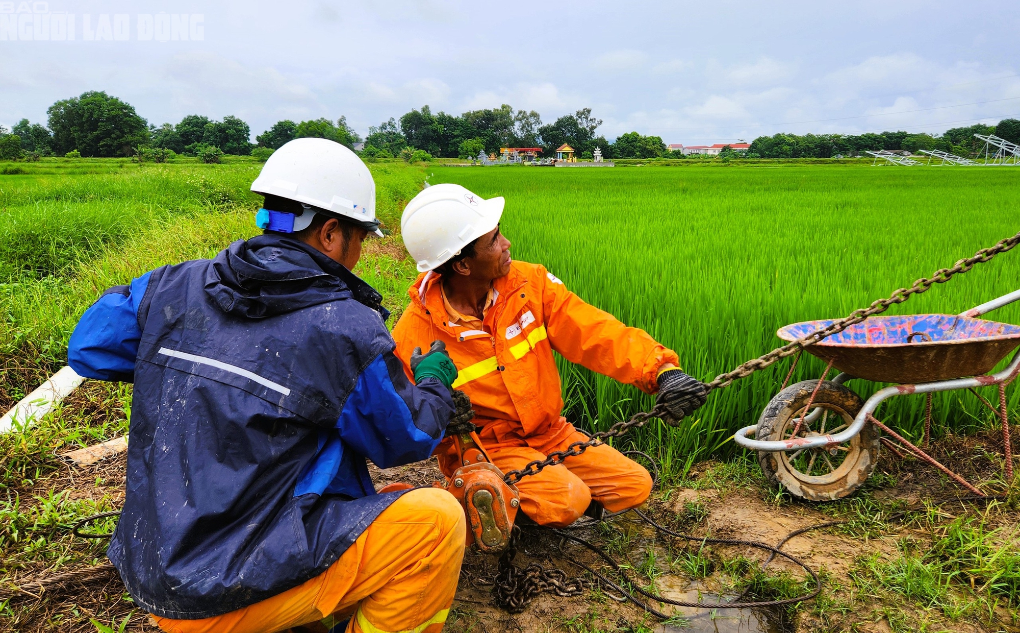 VIDEO: Người lao động ng&agrave;nh điện "dầm mưa" thi c&ocirc;ng Đường d&acirc;y 500 kV- Ảnh 7.