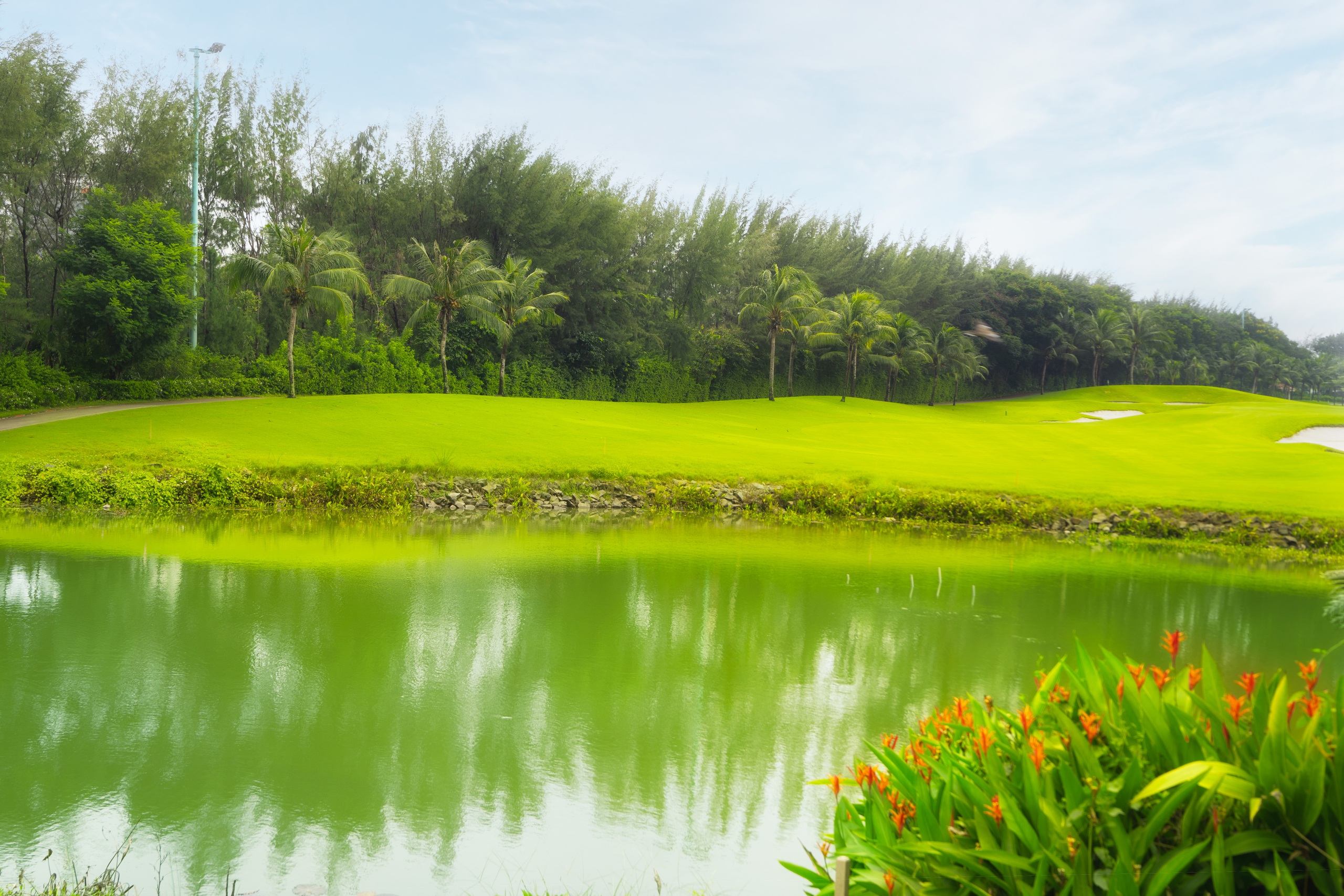 Giải golf "T&ocirc;i y&ecirc;u Việt Nam" lần 2-2024: Hứa hẹn nhiều trải nghiệm th&uacute; vị- Ảnh 9.