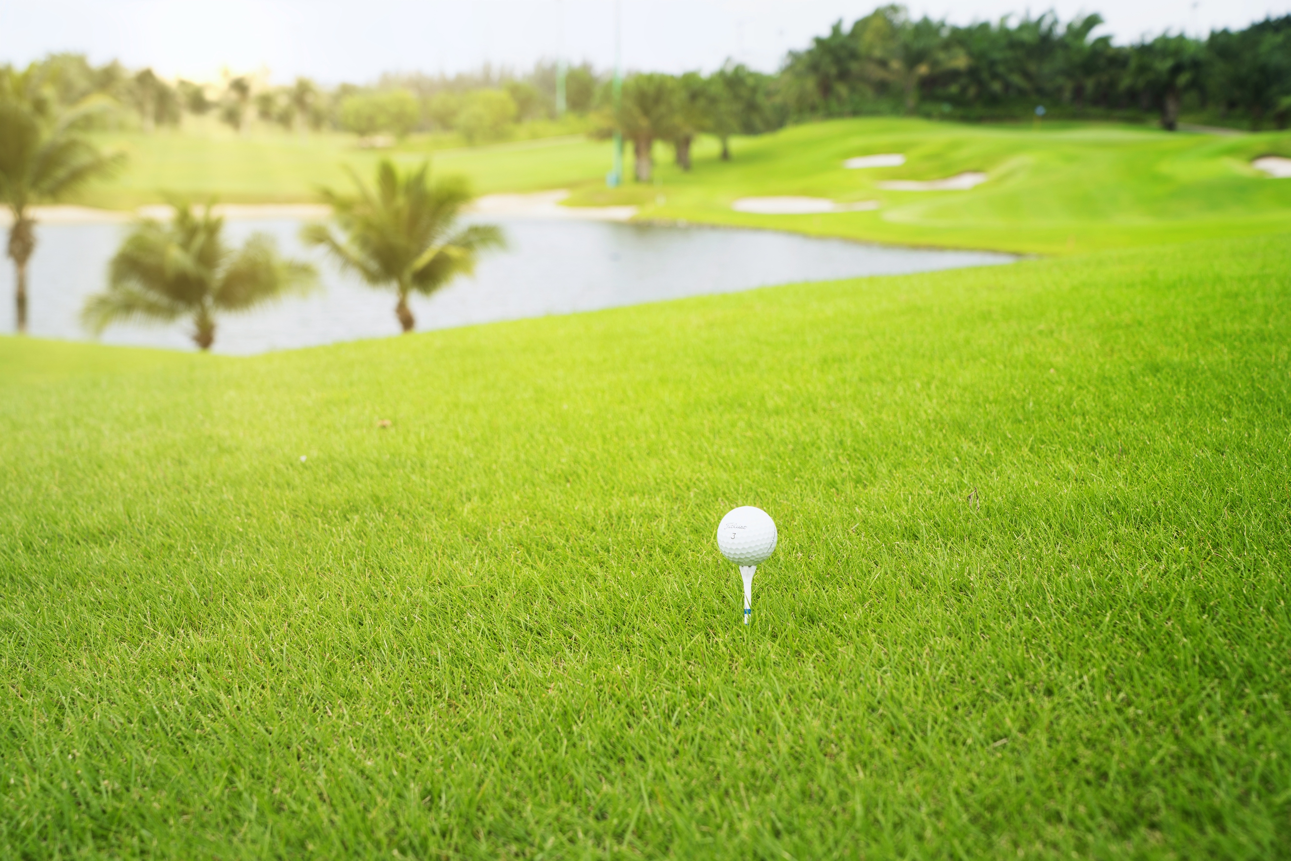Giải golf "T&ocirc;i y&ecirc;u Việt Nam" lần 2-2024: Hứa hẹn nhiều trải nghiệm th&uacute; vị- Ảnh 11.