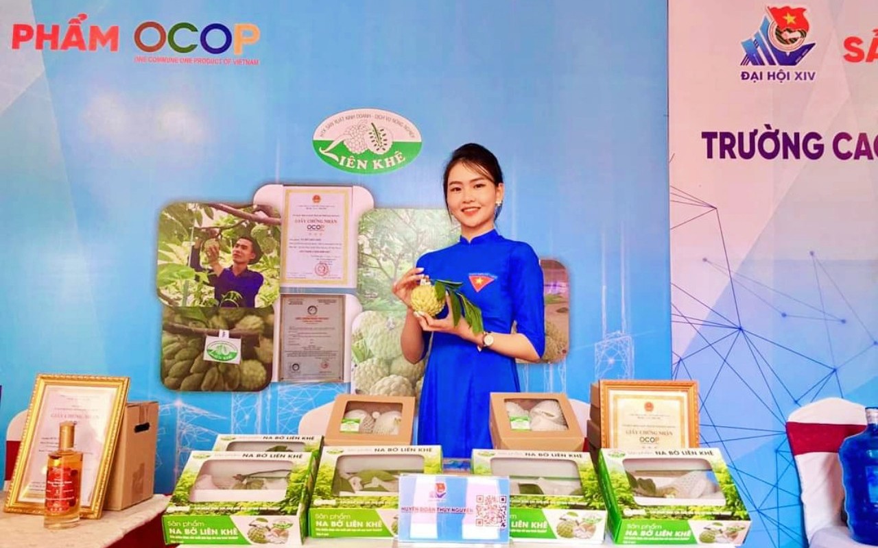 Một loại trái cây được thực khách săn tìm, nông dân bỏ túi nửa tỉ đồng/ha