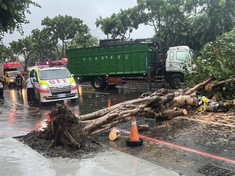 Sau khi b&atilde;o đổ bộ ng&agrave;y 24-7, nhiều c&acirc;y xanh tại TP Cao H&ugrave;ng bật gốc. Ảnh: Focus Taiwan