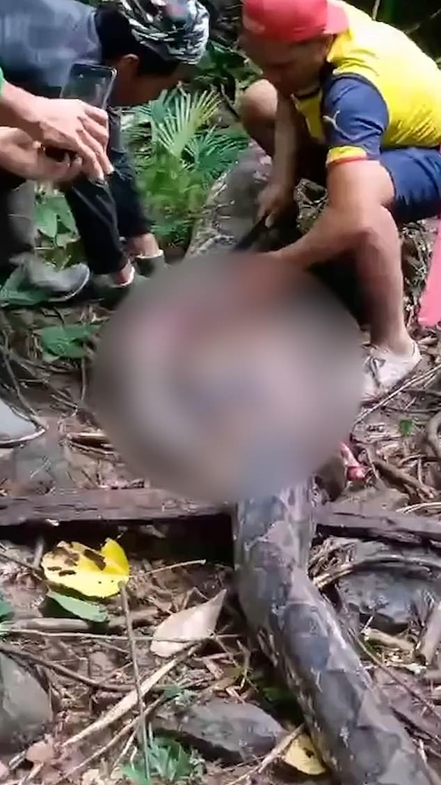 Kinh ho&agrave;ng chồng ph&aacute;t hiện vợ bị trăn khổng lồ nuốt chửng ở Indonesia- Ảnh 3.