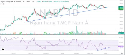 Lợi nhuận dự kiến tạo đỉnh mới, Nam A Bank chia cổ tức l&ecirc;n đến 25%- Ảnh 1.