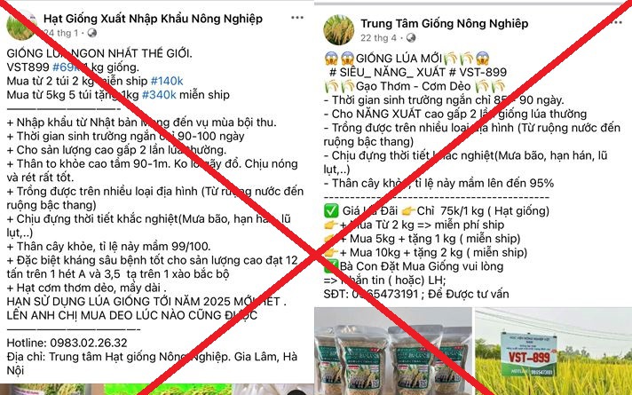7 đối tượng lừa bán giống lúa giả cho nông dân, chiếm đoạt 7,8 tỉ đồng