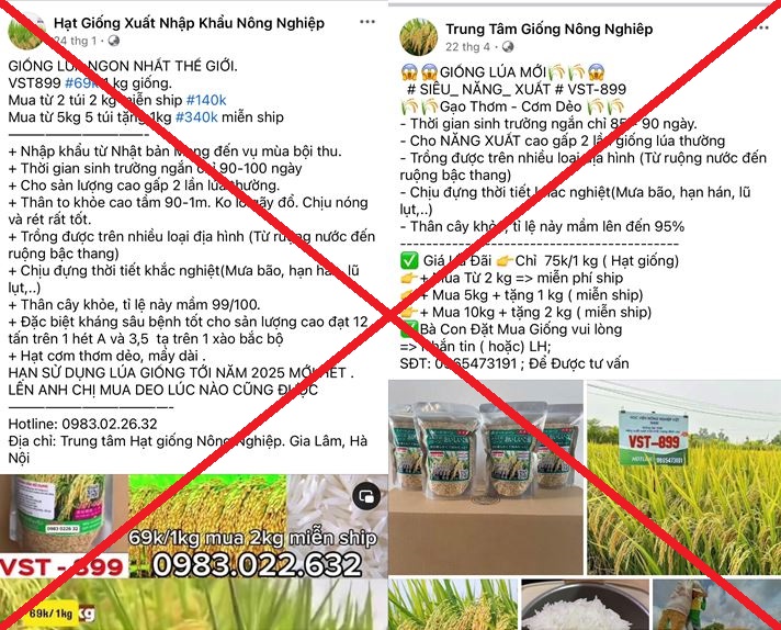 7 đối tượng lừa bán giống lúa giả cho nông dân, chiếm đoạt 7,8 tỉ đồng- Ảnh 1.