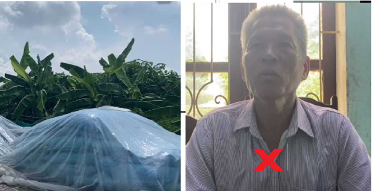 Người đ&agrave;n &ocirc;ng đ&ecirc;m h&ocirc;m đột nhập v&agrave;o trộm cắp 13 bao l&ocirc;ng vịt- Ảnh 1.