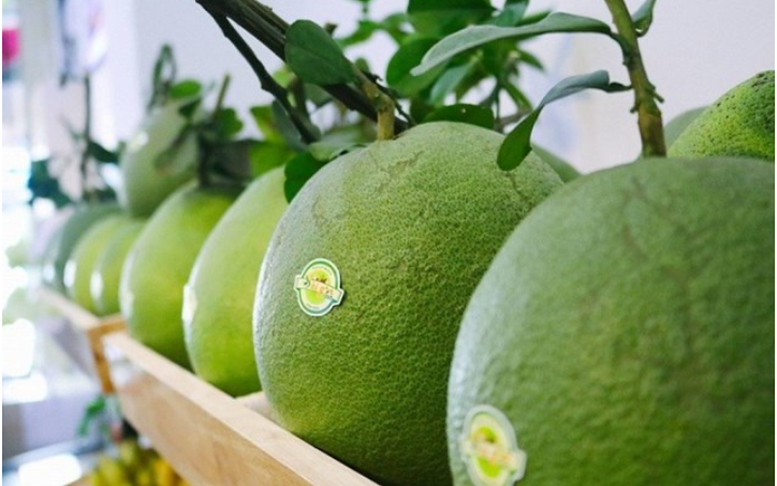 Hàn Quốc chính thức nhập quả bưởi của Việt Nam