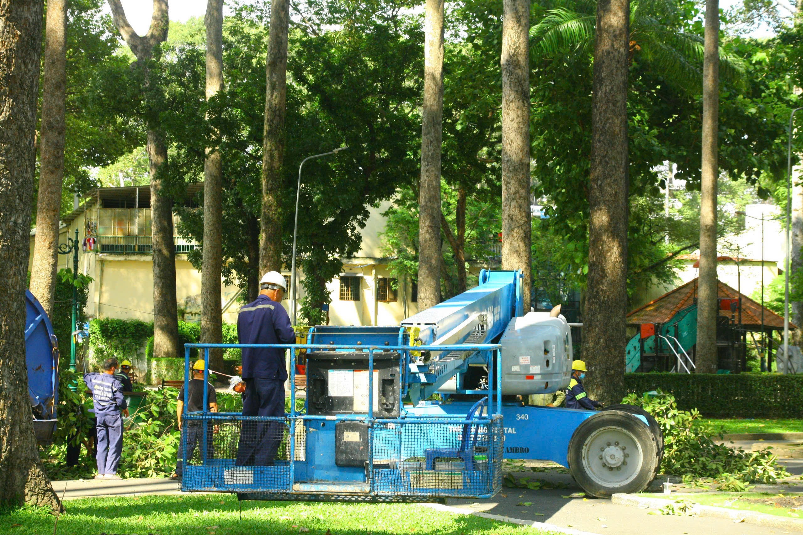 H&igrave;nh ảnh C&ocirc;ng vi&ecirc;n Tao Đ&agrave;n sau vụ g&atilde;y c&acirc;y l&agrave;m 5 người thương vong- Ảnh 6.