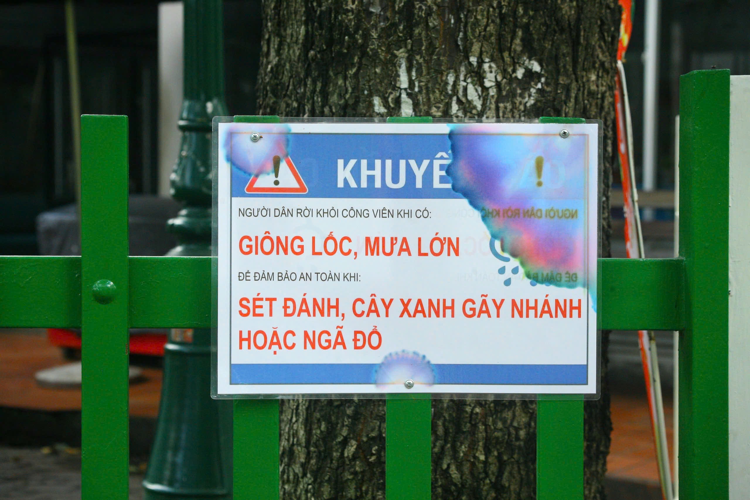 H&igrave;nh ảnh C&ocirc;ng vi&ecirc;n Tao Đ&agrave;n sau vụ g&atilde;y c&acirc;y l&agrave;m 5 người thương vong- Ảnh 7.