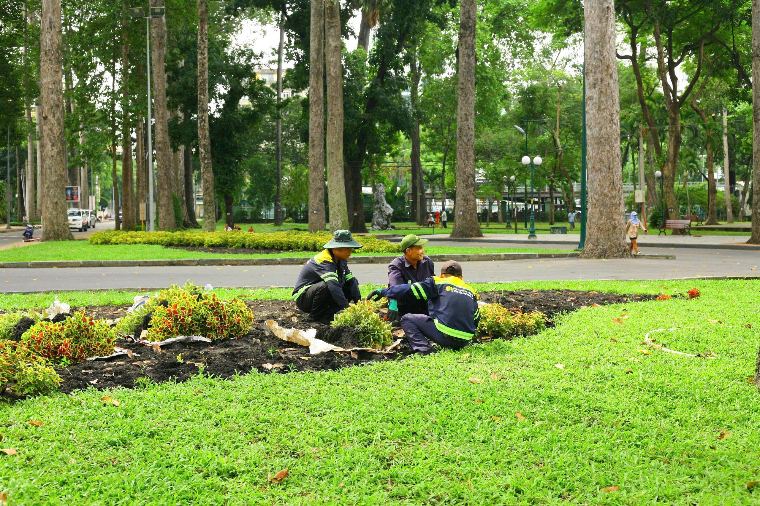 H&igrave;nh ảnh C&ocirc;ng vi&ecirc;n Tao Đ&agrave;n sau vụ g&atilde;y c&acirc;y l&agrave;m 5 người thương vong- Ảnh 15.