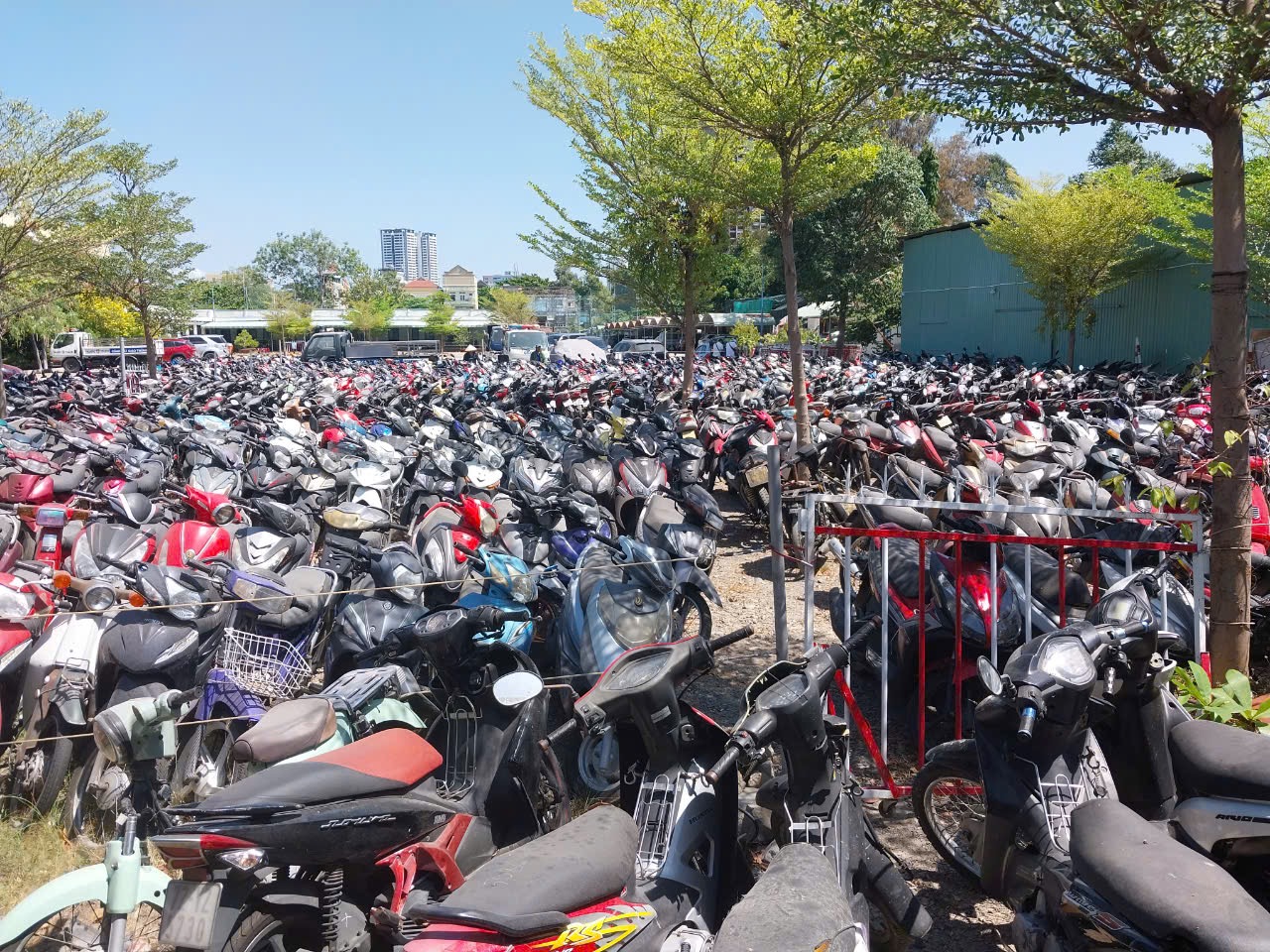 C&ocirc;ng an Vũng T&agrave;u t&igrave;m chủ sở hữu hơn 800 xe m&aacute;y, &ocirc; t&ocirc;- Ảnh 2.