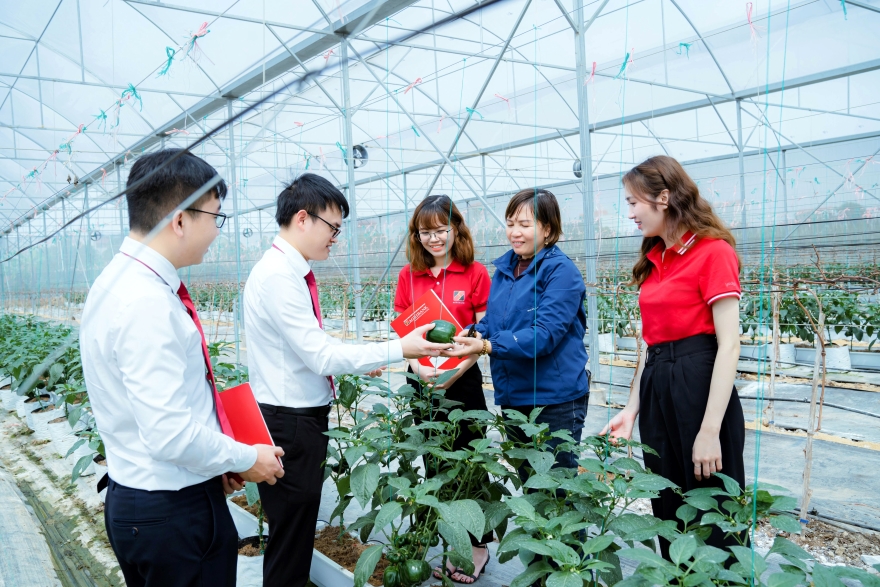 Agribank đồng h&agrave;nh th&aacute;o gỡ kh&oacute; khăn, đẩy mạnh cung ứng vốn nền kinh tế- Ảnh 1.
