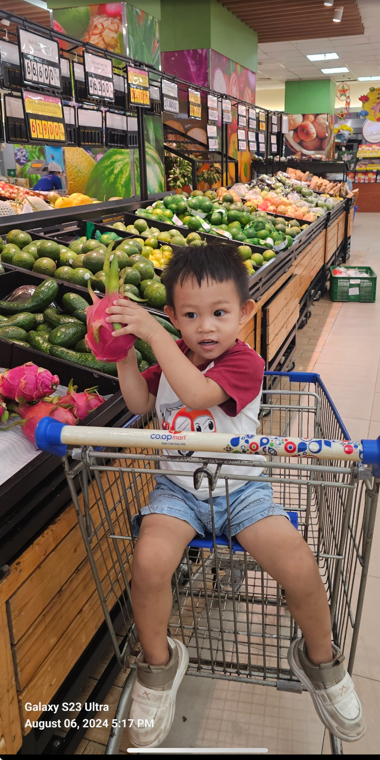 H&agrave;nh tr&igrave;nh trưởng th&agrave;nh c&ugrave;ng Co.opmart- Ảnh 1.