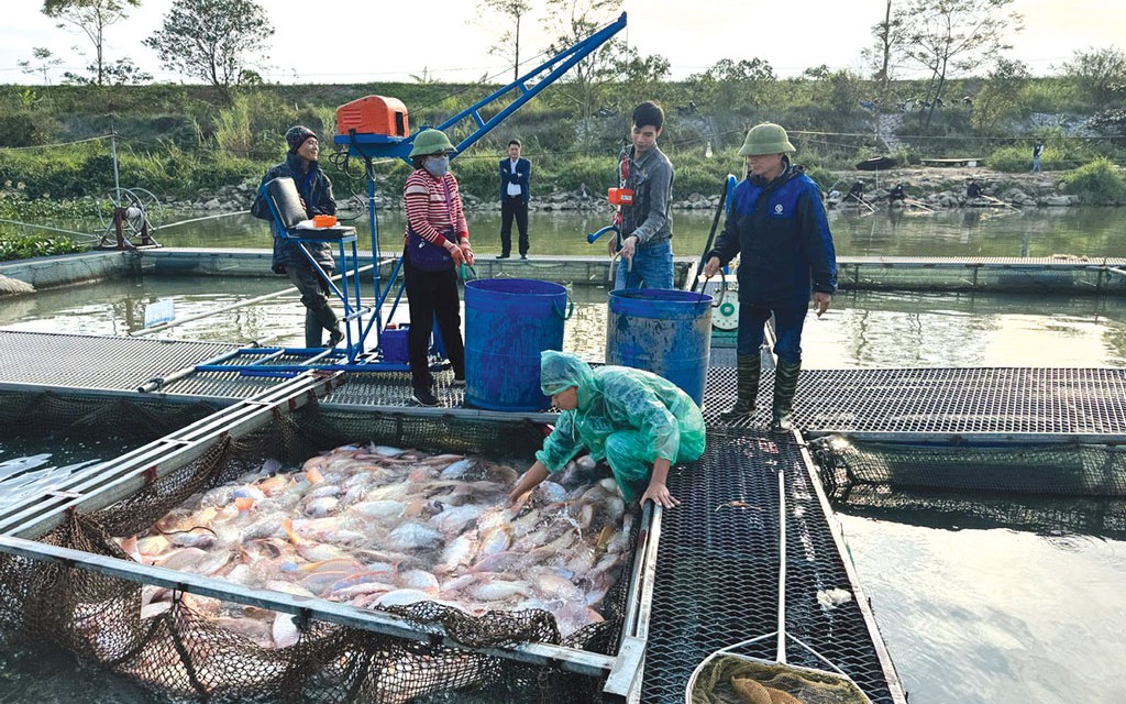 Tăng sức đầu tư vốn cho lĩnh vực "Tam nông"