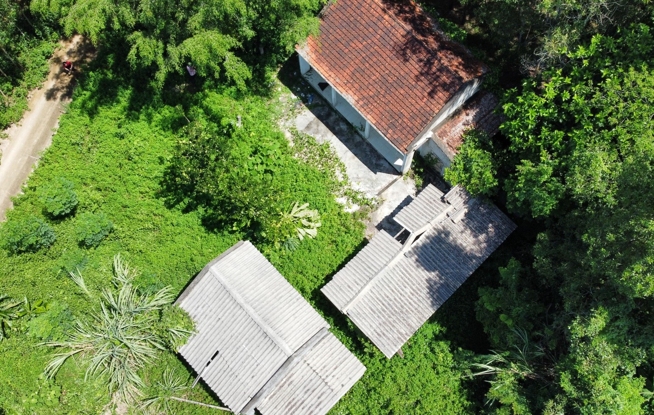 Dang dở l&agrave;ng thanh ni&ecirc;n lập nghiệp ở Thanh H&oacute;a- Ảnh 6.