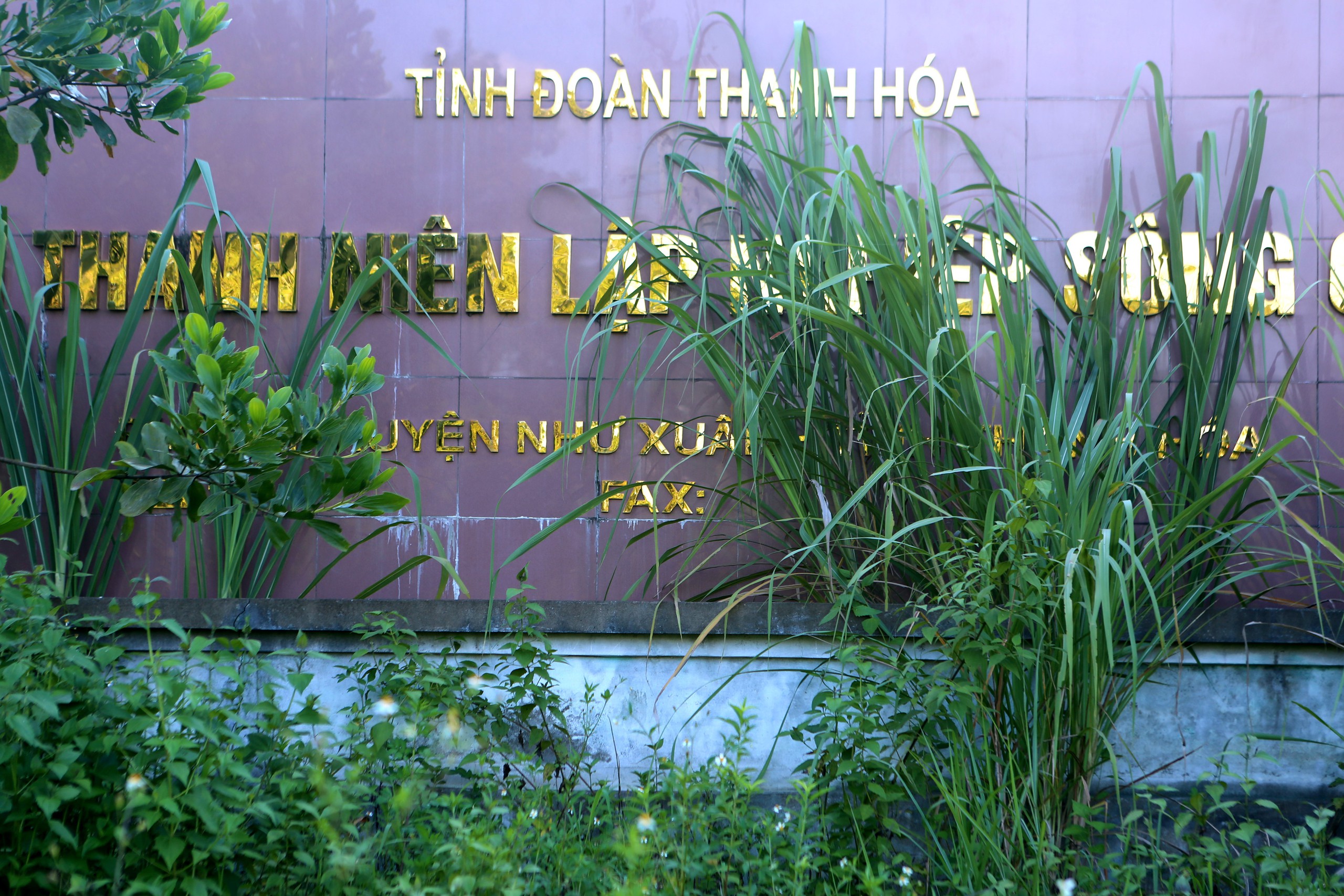 Dang dở l&agrave;ng thanh ni&ecirc;n lập nghiệp ở Thanh H&oacute;a- Ảnh 8.