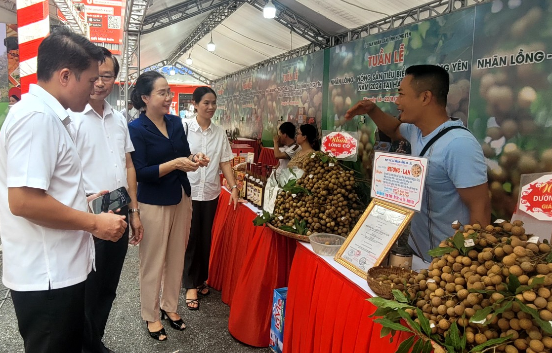 Một loại quả tiến vua của Hưng Y&ecirc;n gi&aacute; cao ch&oacute;t v&oacute;t- Ảnh 1.