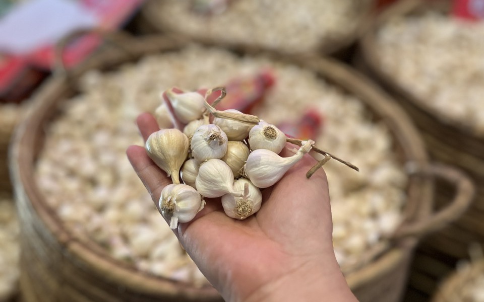 Nông dân Lý Sơn khóc ròng vì "vàng trắng" mất giá - Ảnh 5.