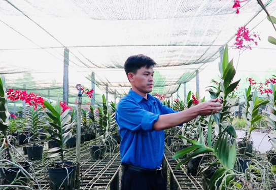 Kỹ sư Nguyễn Ho&agrave;ng Duy Lưu trong vườn ươm lan của trung t&acirc;m