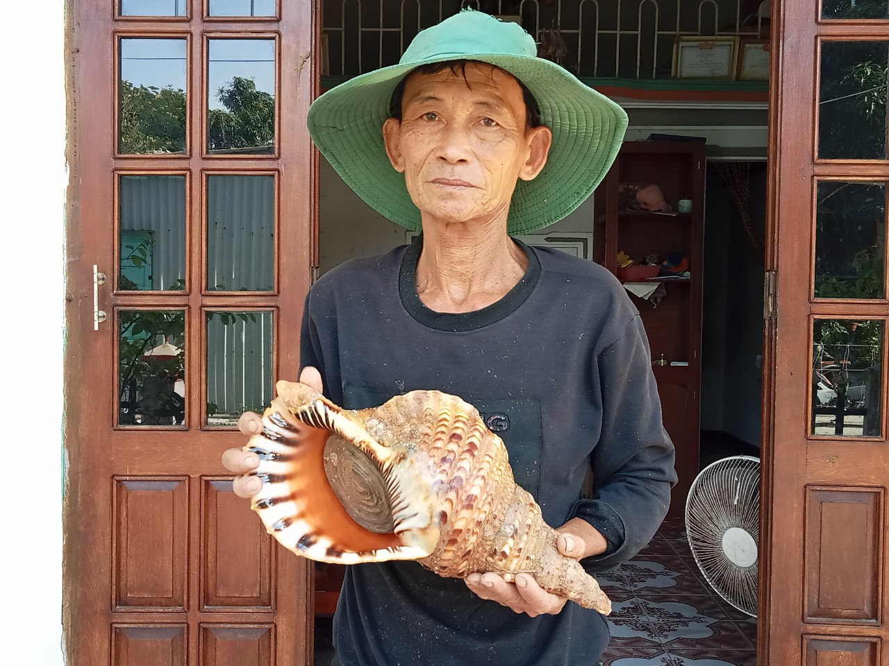 Ốc t&ugrave; v&agrave; qu&yacute; hiếm xuất hiện ở C&ugrave; Lao Ch&agrave;m sau h&agrave;ng chục năm- Ảnh 1.