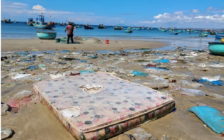 Giữ gìn tài nguyên biển