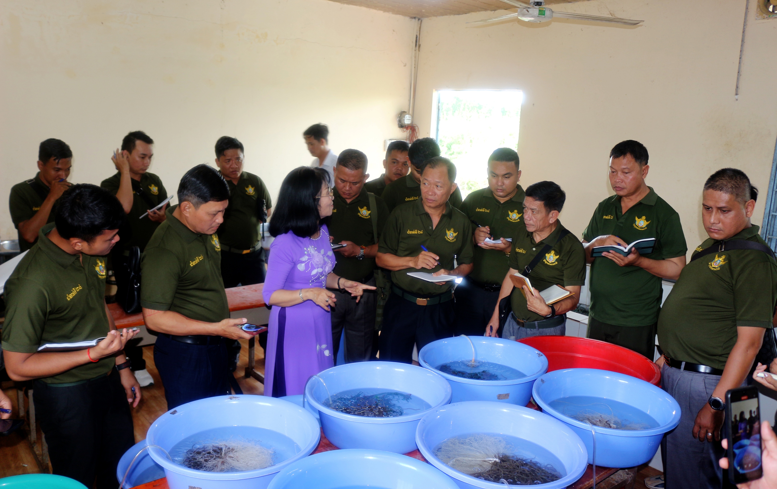 Đo&agrave;n của Campuchia sang Trường ĐH Cửu Long tập huấn về n&ocirc;ng nghiệp- Ảnh 4.