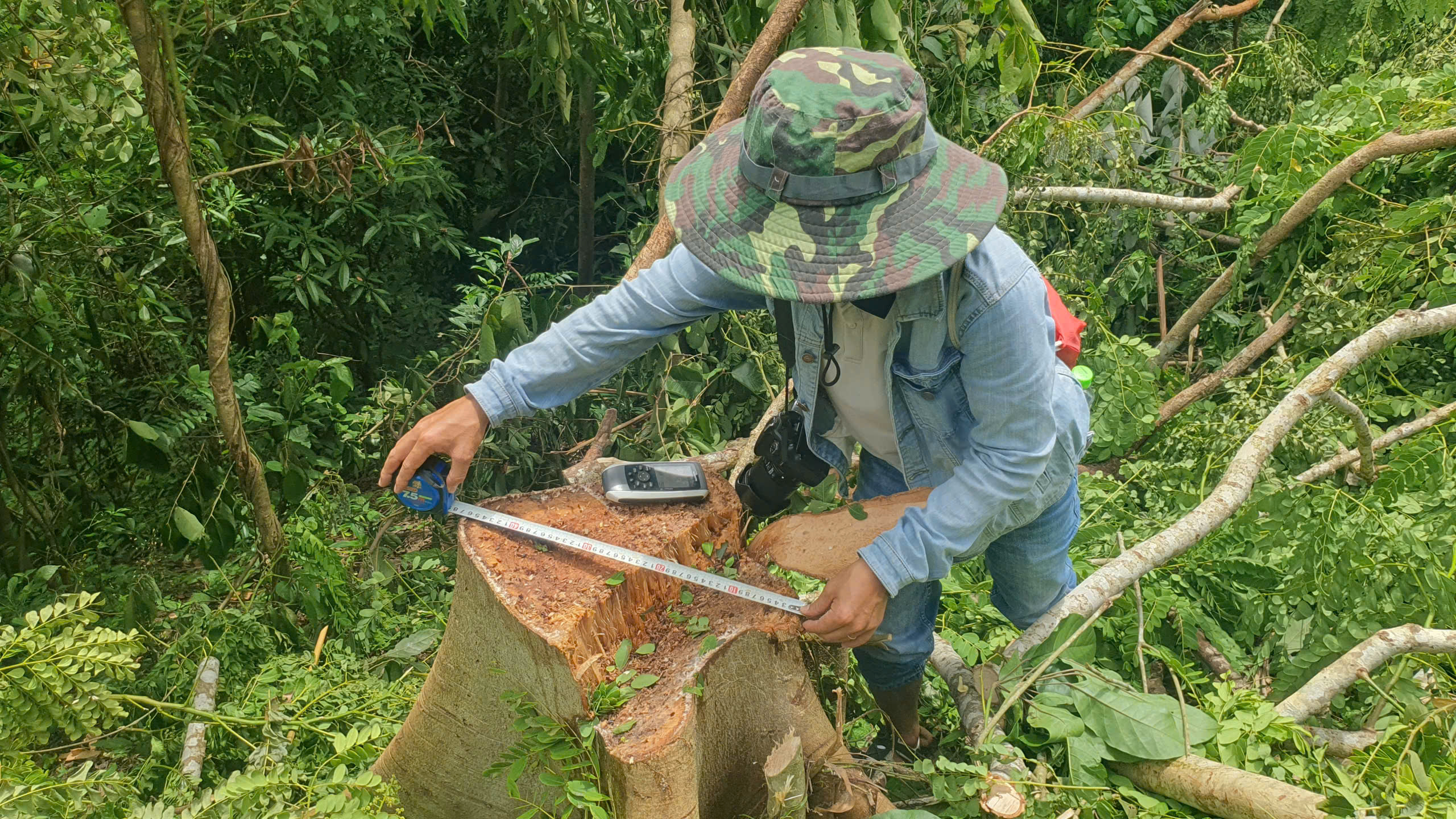 Tỉnh Quảng Trị chỉ đạo "n&oacute;ng" sau loạt điều tra của B&aacute;o Người Lao Động- Ảnh 1.