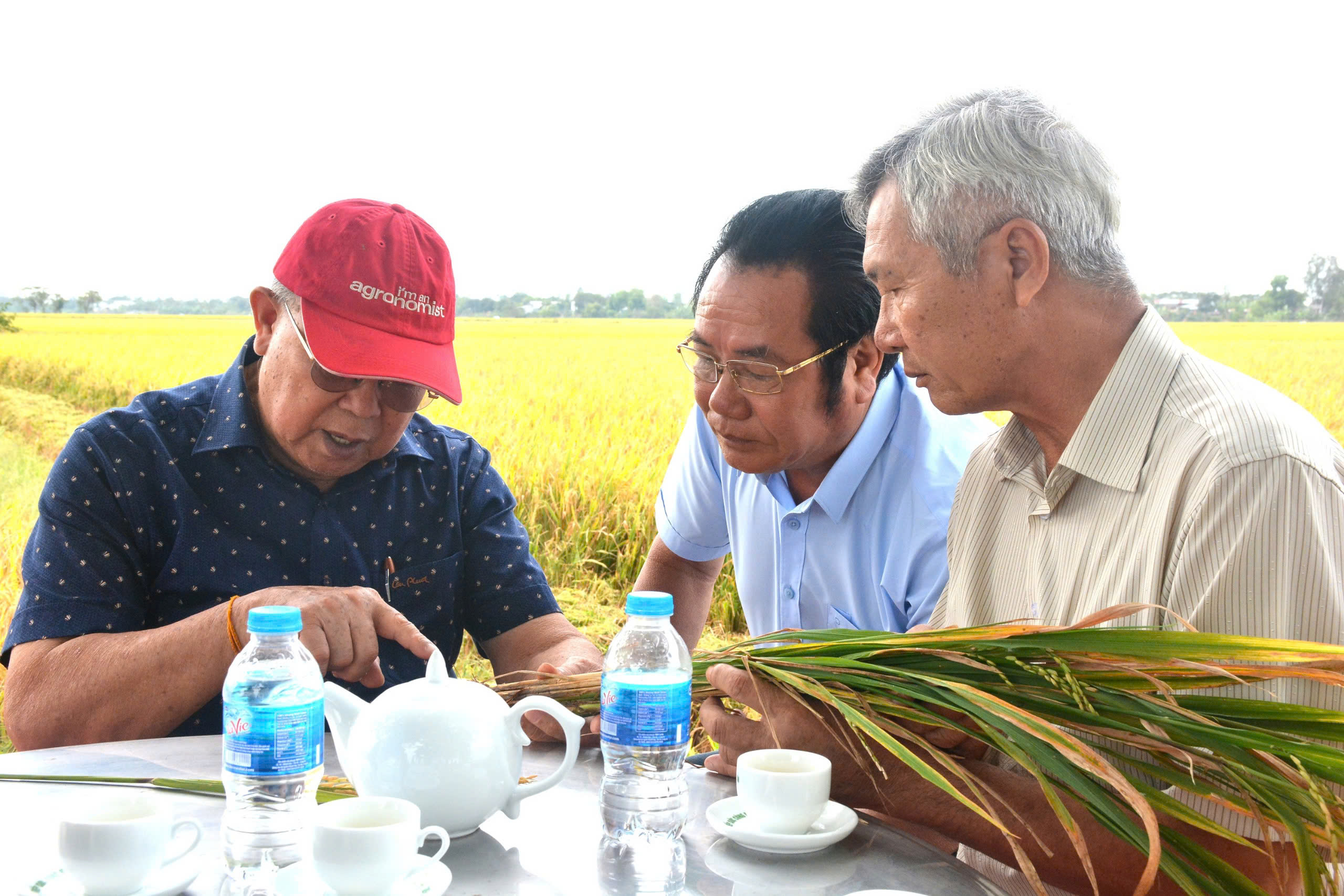 GS-TS V&otilde; T&ograve;ng Xu&acirc;n v&agrave; kh&aacute;t vọng bảo đảm an ninh lương thực to&agrave;n cầu- Ảnh 4.