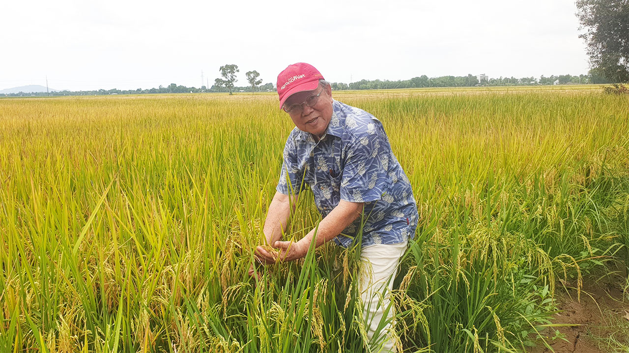 GS-TS V&otilde; T&ograve;ng Xu&acirc;n v&agrave; kh&aacute;t vọng bảo đảm an ninh lương thực to&agrave;n cầu- Ảnh 5.