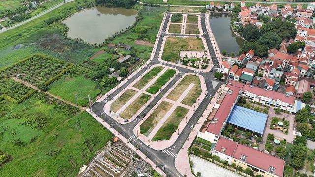 Thủ tướng chỉ đạo xử l&yacute; c&aacute;c trường hợp vi phạm trong đấu gi&aacute; đất- Ảnh 1.