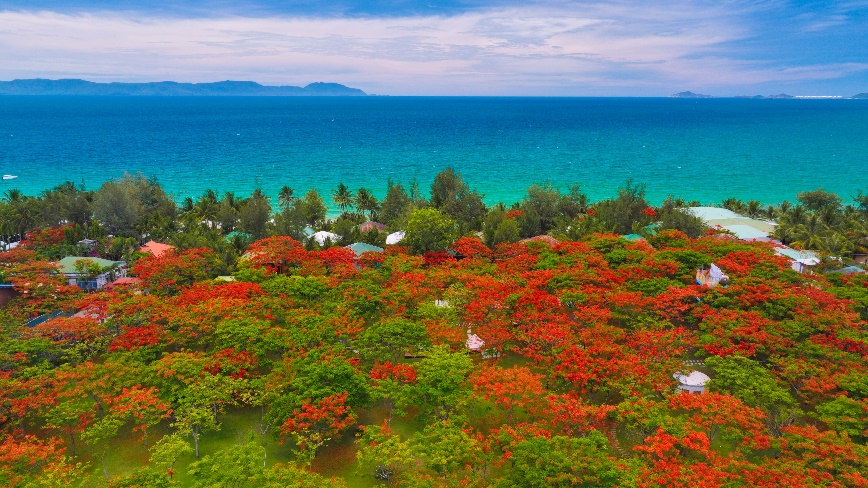 A green field with red flowers and trees by the water Description automatically generated