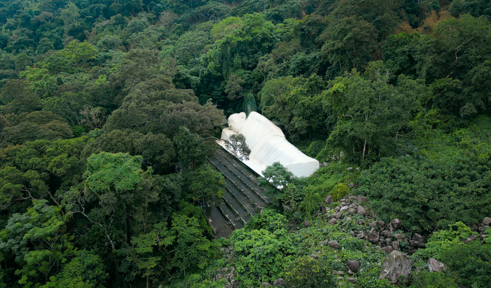 A white structure in the middle of a forest Description automatically generated