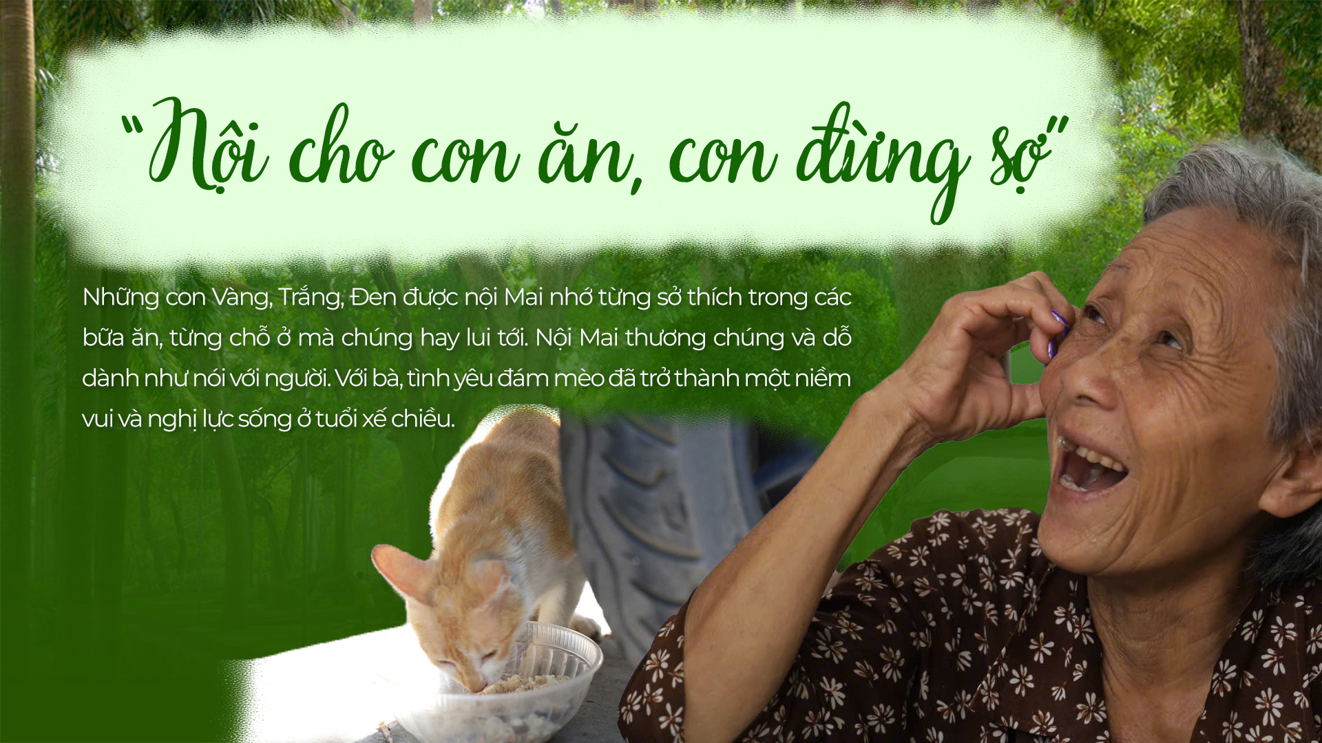 Nội Mai của Vàng, Đen, Trắng- Ảnh 5.