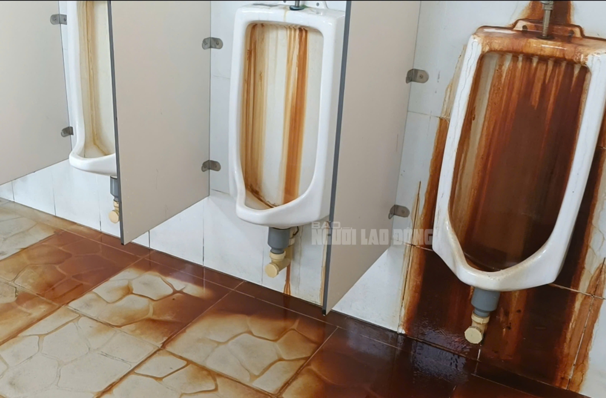 Nh&agrave; vệ sinh tại phố đi bộ 650 tỉ đồng ở B&igrave;nh Dương xuống cấp, nhếch nh&aacute;c- Ảnh 2.