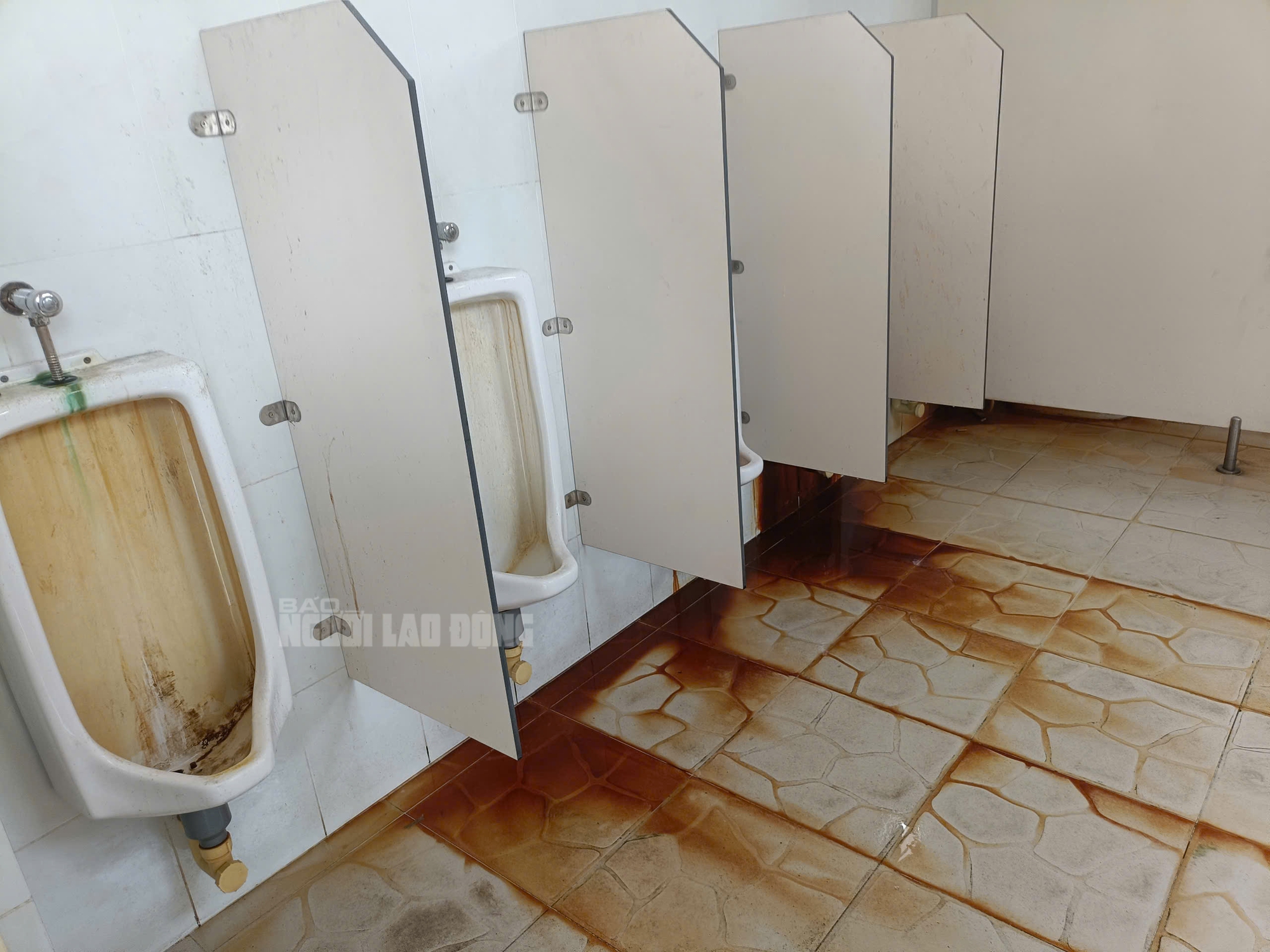 Nh&agrave; vệ sinh tại phố đi bộ 650 tỉ đồng ở B&igrave;nh Dương xuống cấp, nhếch nh&aacute;c- Ảnh 4.