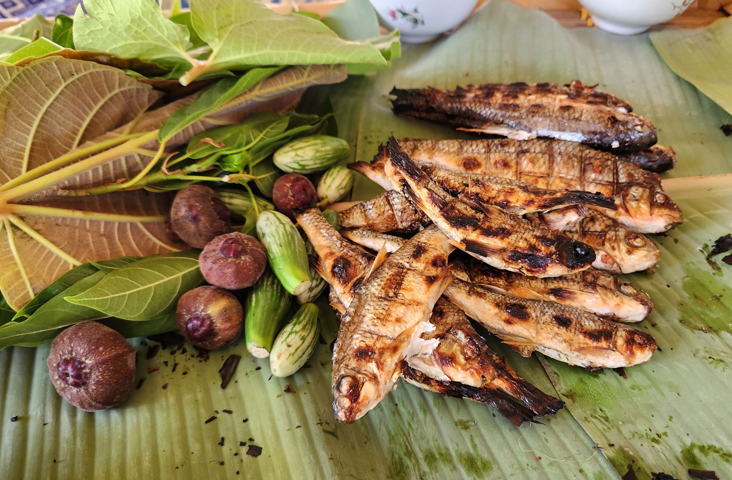 C&aacute; suối nướng ăn k&egrave;m với c&aacute;c loại rau, quả rừng