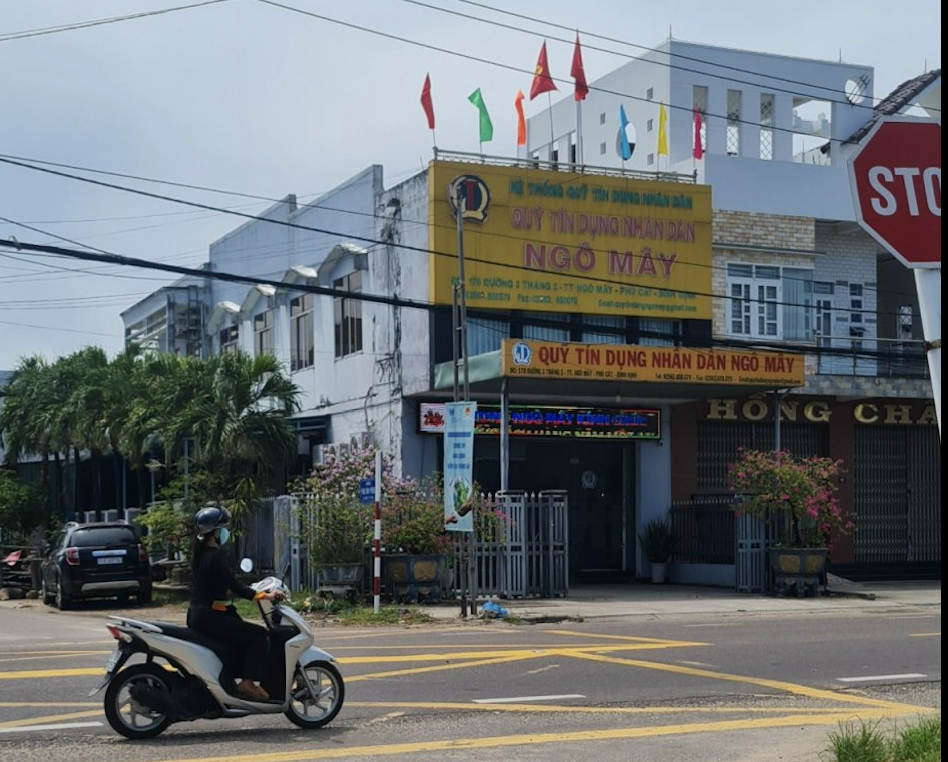Chủ tịch tỉnh B&igrave;nh Định chỉ đạo xử l&yacute; vụ l&ugrave;m x&ugrave;m ở Quỹ T&iacute;n dụng Ng&ocirc; M&acirc;y- Ảnh 1.