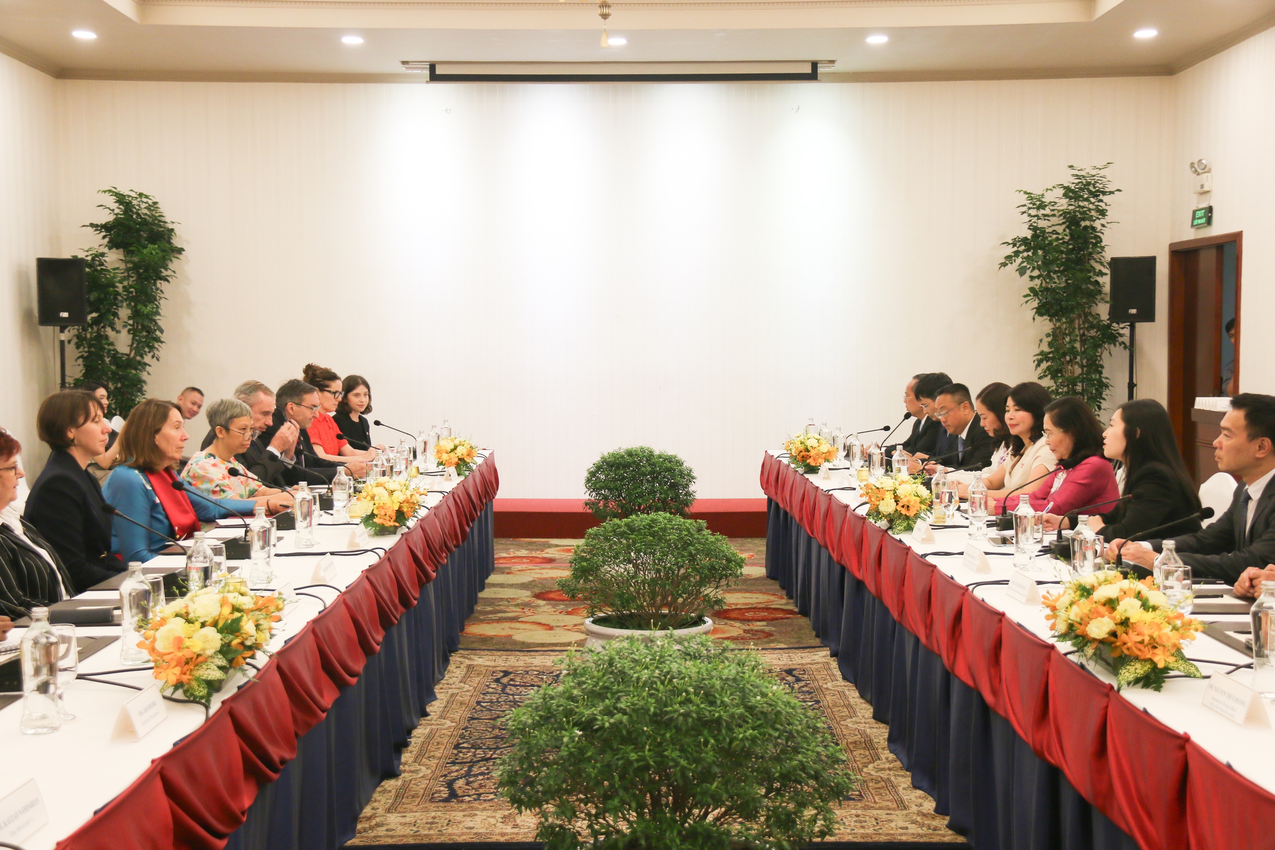 Chủ tịch Thượng viện &Uacute;c thăm TP HCM- Ảnh 2.