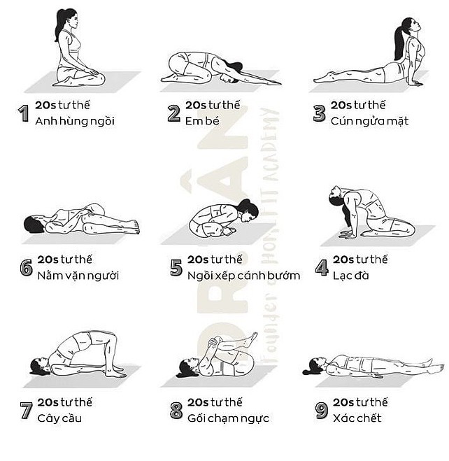 Rèn luyện sức khỏe với yoga - Ảnh 4.