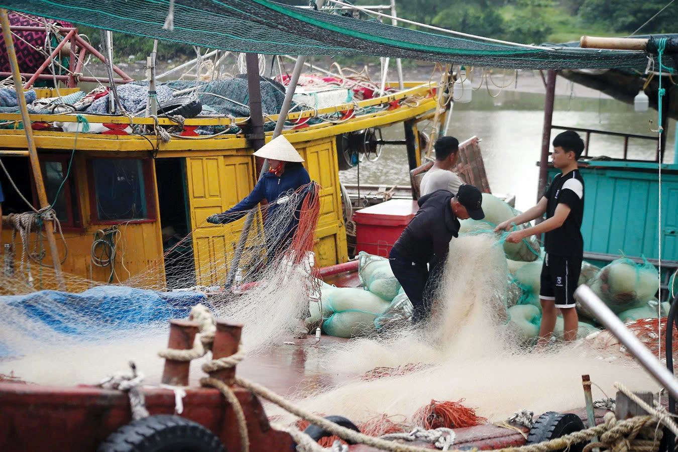 Hỗ trợ ngư d&acirc;n tỉnh Th&aacute;i B&igrave;nh vươn khơi b&aacute;m biển- Ảnh 1.