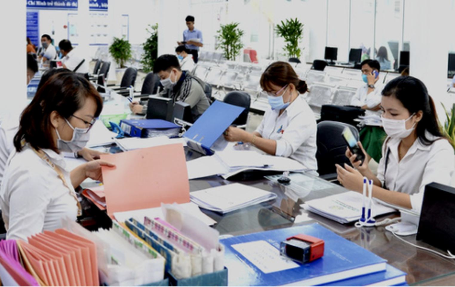 Cần 300 công chức chuyên tham mưu xây dựng pháp luật- Ảnh 1.