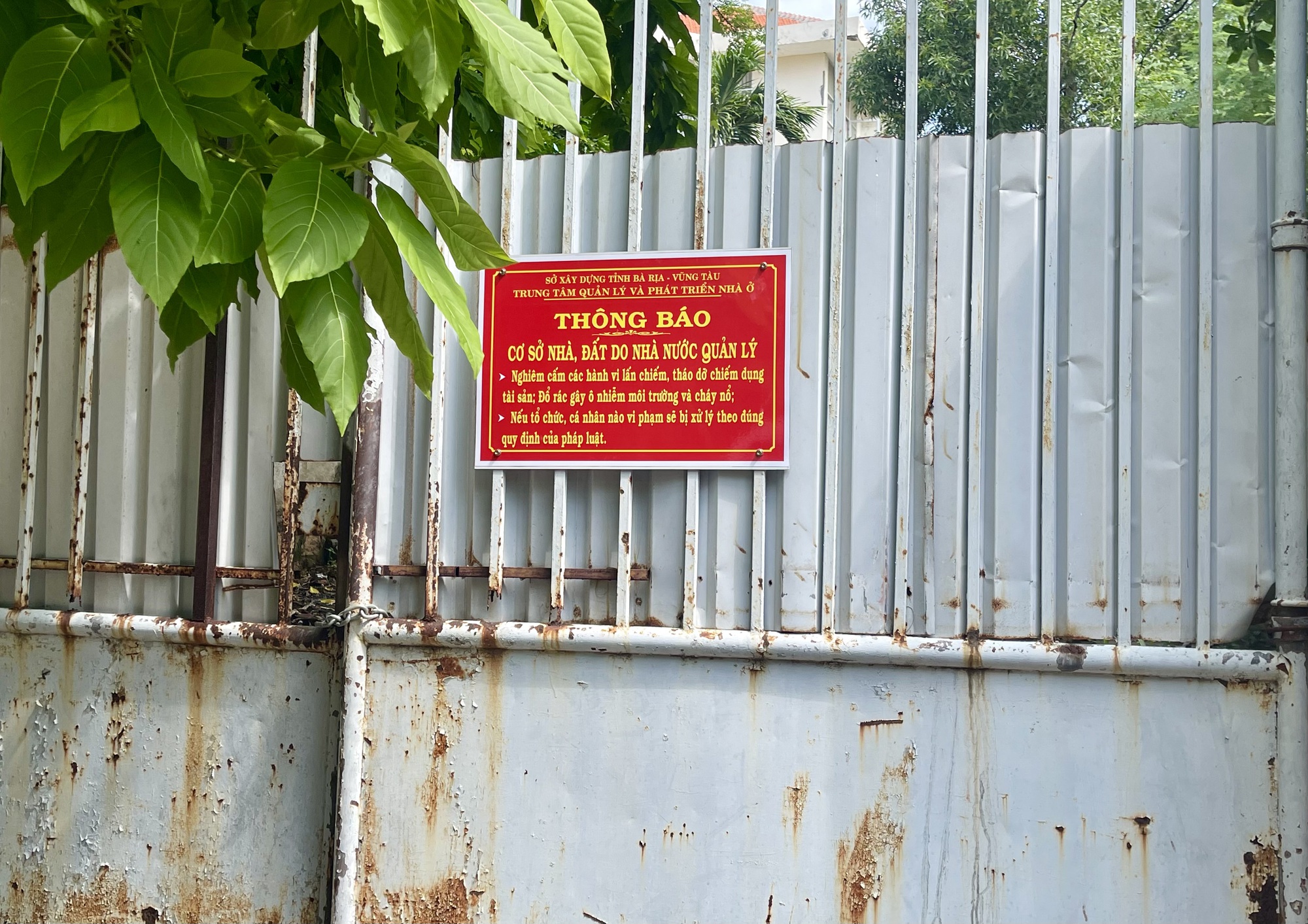 B&agrave; Rịa- Vũng T&agrave;u chỉ đạo thanh tra to&agrave;n diện việc cấp &ldquo;sổ đỏ&rdquo; lần đầu- Ảnh 1.