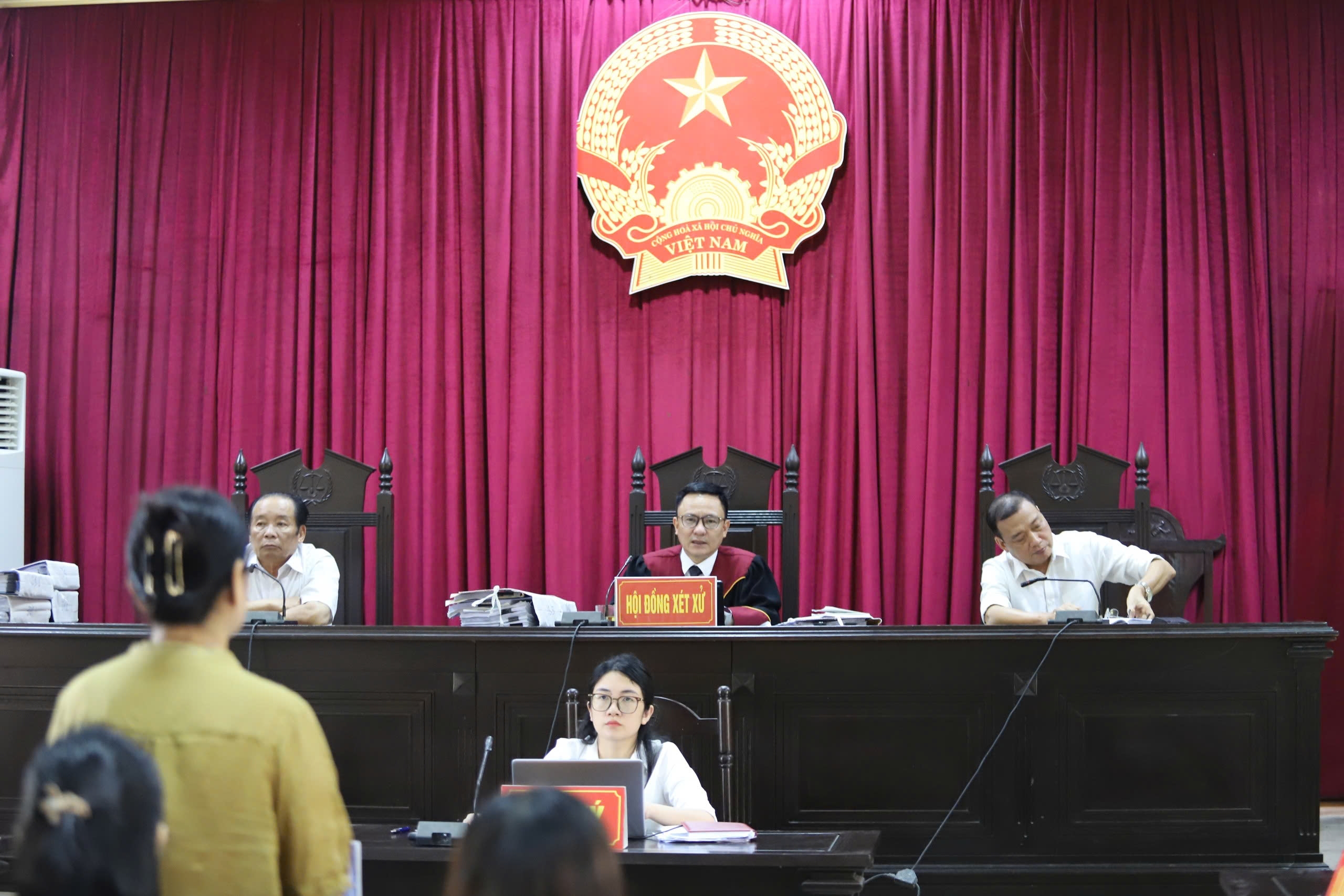 Nữ gi&aacute;m đốc C&ocirc;ng ty CP CNTT Lam Hồng c&ugrave;ng thuộc cấp lĩnh &aacute;n v&igrave; hưởng lợi bất ch&iacute;nh- Ảnh 2.
