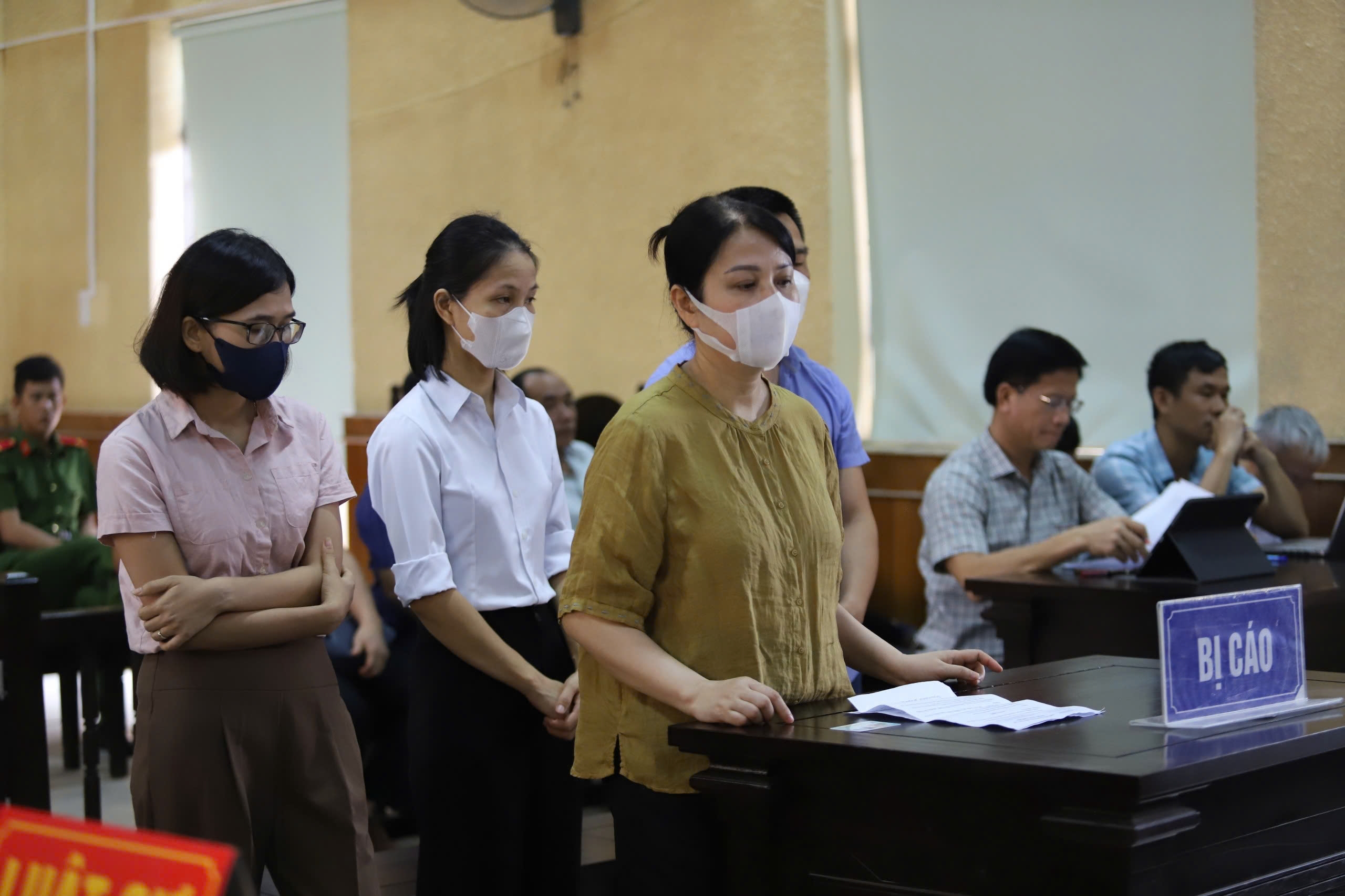 Nữ gi&aacute;m đốc C&ocirc;ng ty CP CNTT Lam Hồng c&ugrave;ng thuộc cấp lĩnh &aacute;n v&igrave; hưởng lợi bất ch&iacute;nh- Ảnh 1.