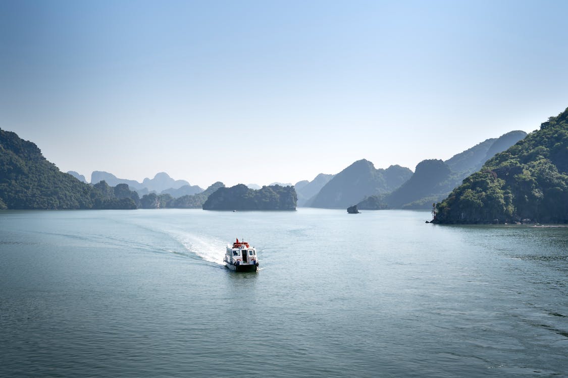 Thử t&agrave;i đo&aacute;n ảnh thật v&agrave; ảnh do AI tạo ra- Ảnh 11.