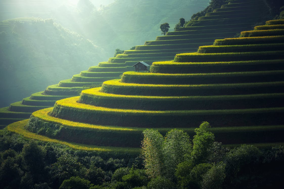 Thử t&agrave;i đo&aacute;n ảnh thật v&agrave; ảnh do AI tạo ra- Ảnh 15.